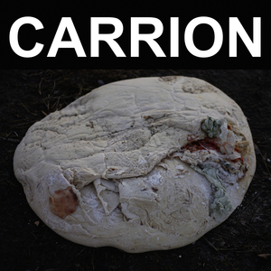 Carrion