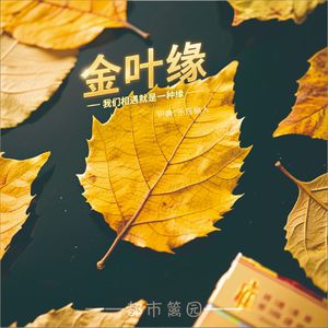 《金叶缘》我们相遇就是一种缘