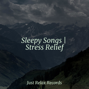 Zenith Ecstasy Rhythm