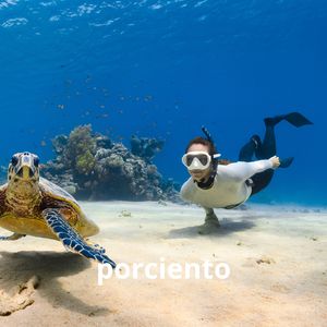 Porciento