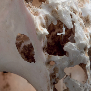 Sono invisibile (Bolero terzo)