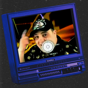 Scot la licitatie cateva idei