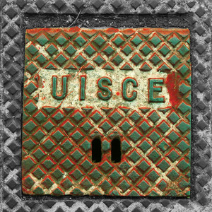 Нильский конь