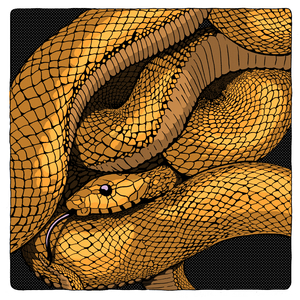 She Wants to See You Cry