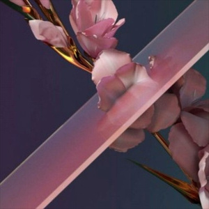 Never Be Like You (MiXiNiT X CHASRS Remix)