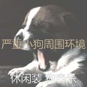 温和睡狗梦想