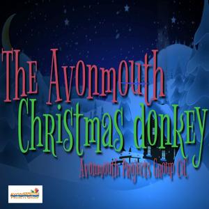 The Avonmouth Christmas Donkey