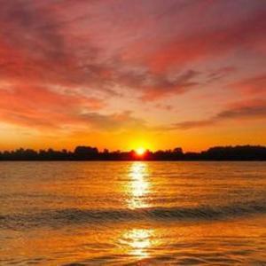 张芸京-偏爱（王阿凯 remix）