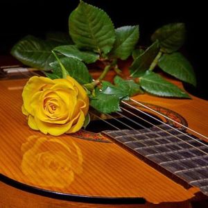 《sunflower》现场版