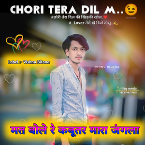 मत बोल रे कबूतर म्हारा जंगला म सु