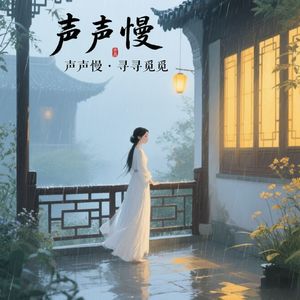 声声慢·寻寻觅觅