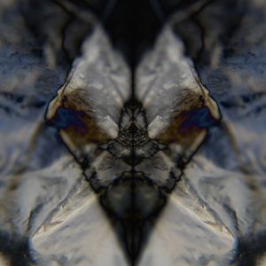 Fluorhead-Vintage contact