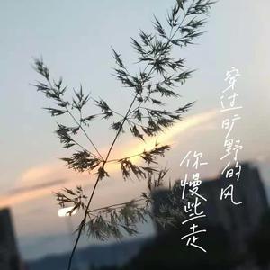 这一生关于你的风景