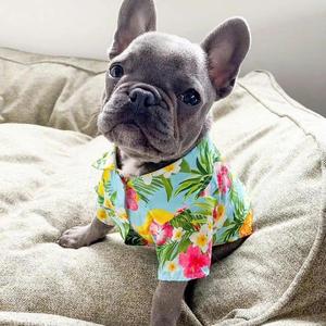 岁月轻狂（翻唱）