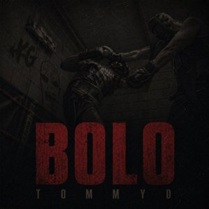 Bolo