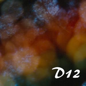 D12
