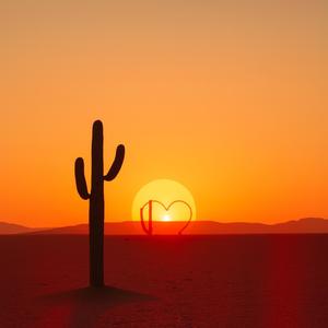 Sentir lo que no debia