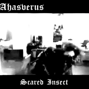Scared Insect