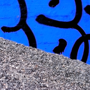 Det skångrar i säven