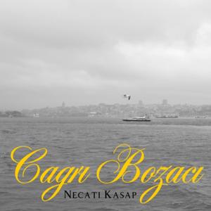 Sevda Değil (feat. Çağrı Bozacı)
