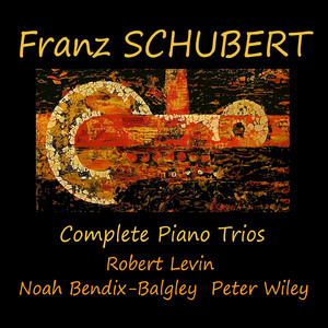 Piano Trio No. 1 in B-Flat Major, Op. 99, D. 898:No. 1, Allegro moderato