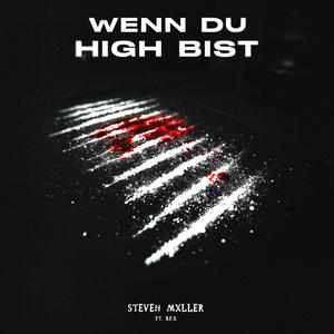 Wenn du high bist (feat. B.F.X)