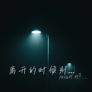 离开的时候别看我