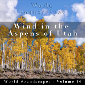 Wind in the Aspens of Utah, Pt. 7