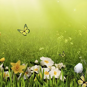 催眠曲5分钟入睡