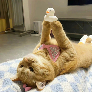 你知不知道我很想念你.