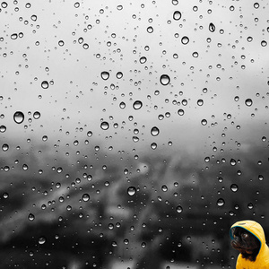 Mind Window Rain