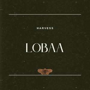 Lobaa