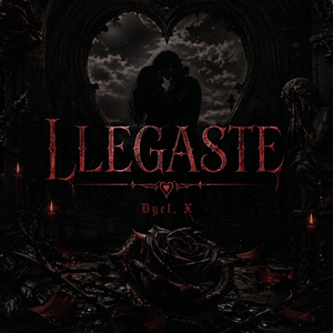 Llegaste