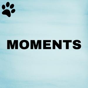 It's The End Of The World