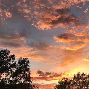 Jj Tak Harus Memiliki Mengkane