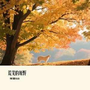 荒芜的原野