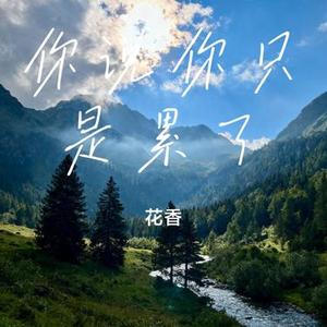 你说你只是累了