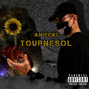 Tournesol