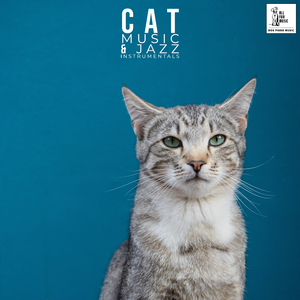 Chill Piano For Cats