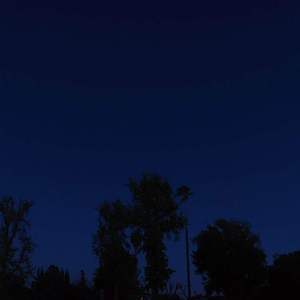 at night