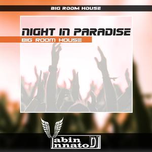 Night in Paradise (Big Room House Mix)