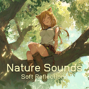 睡眠用ヒーリングミュージック ゆったりとしたギターの音で爆睡 (自律神経を整える睡眠用 森 鳥)