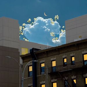今天天气很好