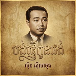 បងផ្ញើកូនផង/Cover Song