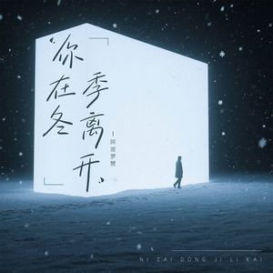 你在冬季离开(可惜你在立冬来临前离开)