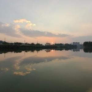 你我与晚风