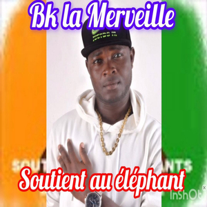 Soutien aux éléphants