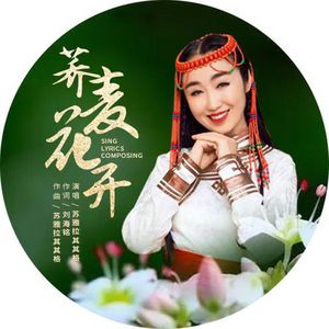 荞麦花开(伴奏)