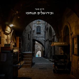 ובירושלים תנוחמו