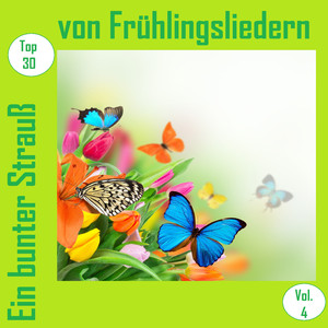 Frühlingsblumen